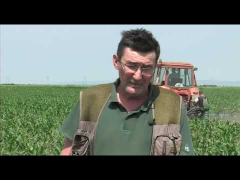 Može bolje ep. 18 10.06.2017. - Međuredna kultivacija