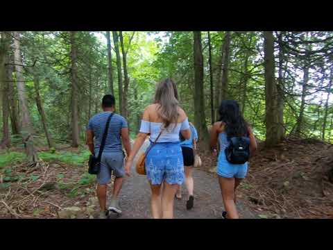 download lagu mp3 mp4 Lavender Fields Montreal, download lagu Lavender Fields Montreal gratis, unduh video klip Lavender Fields Montreal
