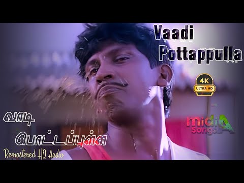 வாடி பொட்டப்புள்ள வெளியே Vaadi Pottapulla Veliye Song HD Video Song #4k Remastered #vadivelu