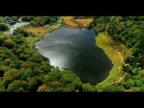 【4K】TOBI-MAS 八幡平紅葉 ドローン空撮