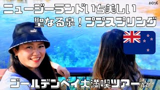 【後編】綺麗すぎる景色と美味しいご飯に結局は大満足♡Able Tasman Goalden bay tour in NZ🇳🇿