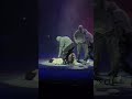 Amygdala Emotional Performance At The Agust D D Day Tour Concert In Singapore Bts Fancam Suga