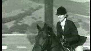 DAVID FOSTER ST. ELMO'S FIRE