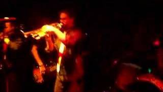 Brain on Ska - Mustard Plug