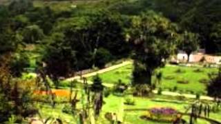 Danny Boy - Harry Belafonte