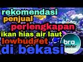 Jual Ikan Hias Air Laut Di Bekasi