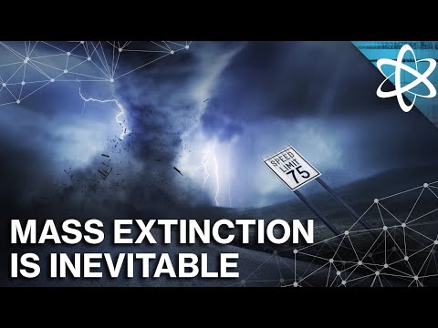 Why The Next Mass Extinction May Already Be Here