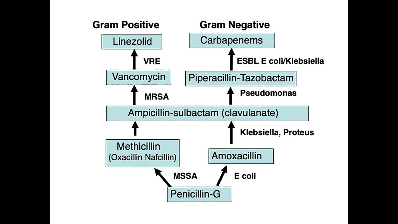 The Antibiotic Ladder Revisited: Anti-infective Therapy Part 2