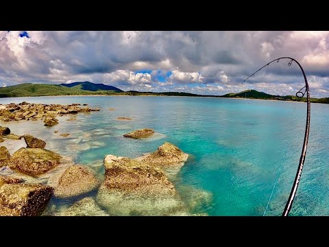 Solo Exploring | BIG Surprise Catch!!