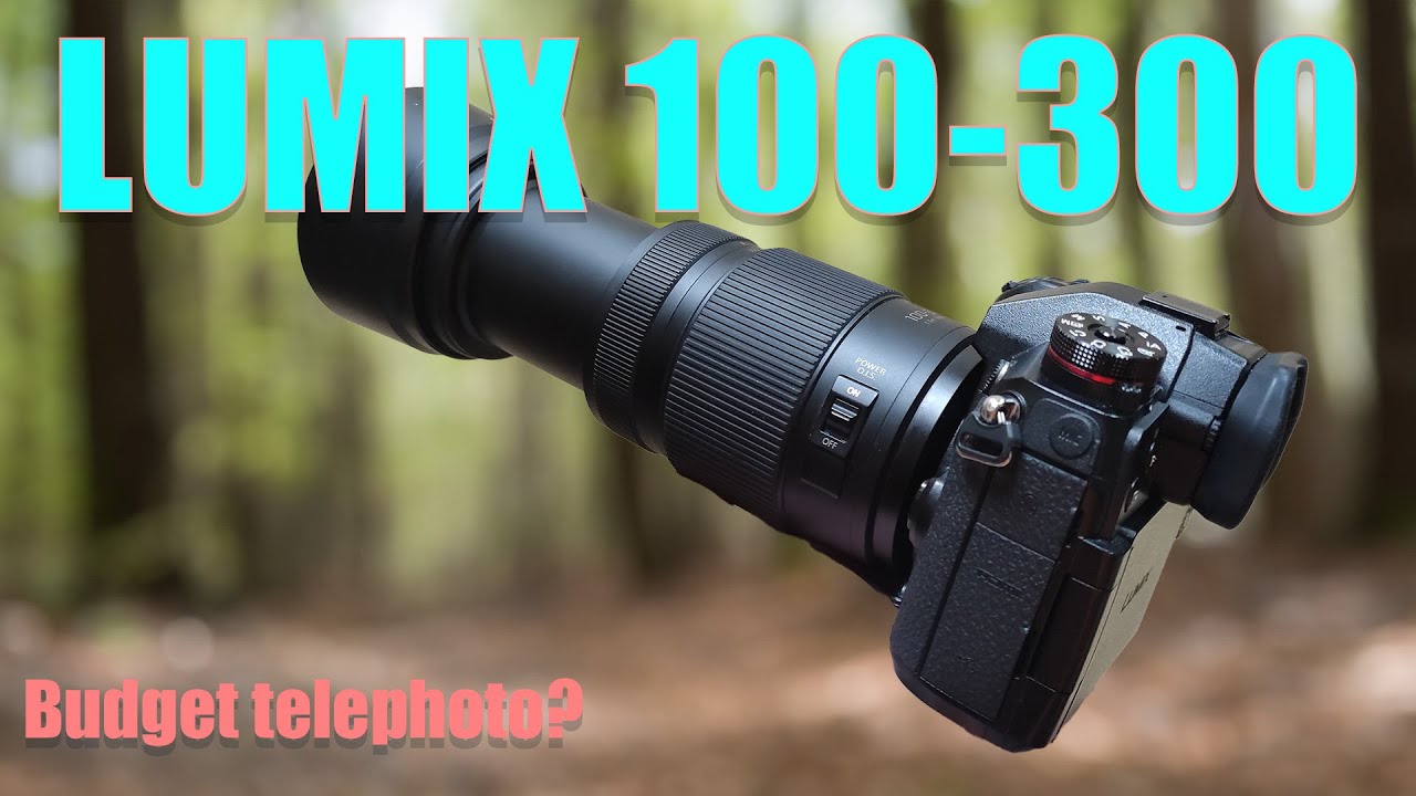Lumix 100-300ii review - Budget Telephoto for M43