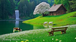Download lagu Musik Penyembuhan untuk Kedamaian Batin 🌿 Suara Alam yang Menenangkan untuk Melepas Stres mp3