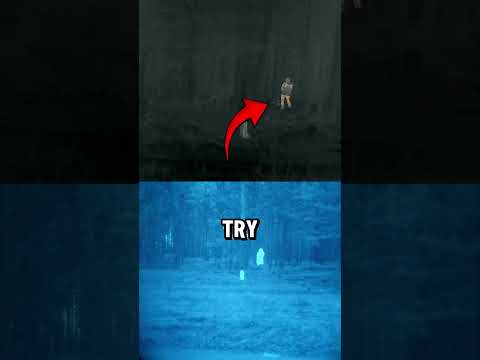 How Thermal Vision Works At Night (📸: falconclaw_)