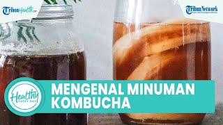 Apa itu Kombucha? Minuman Fermentasi yang Kaya akan Manfaat: Sumber Probiotik dan Antioksidan