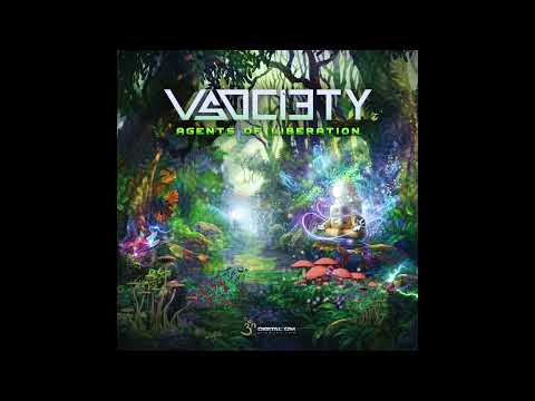 V-Society - Agents of Liberation