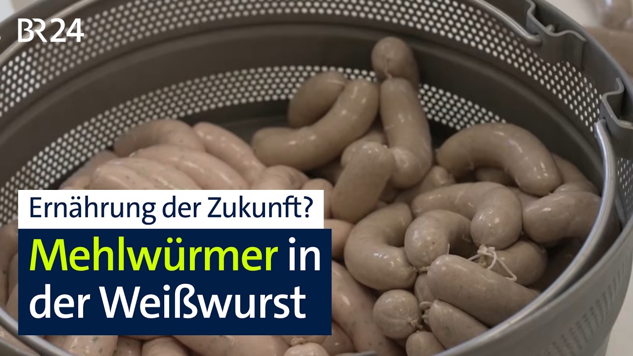 Forschung an Weißwürste mit Mehlwürmern | Abendschau | BR24