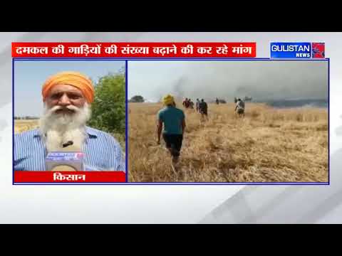 FINAL CUT || GULISTAN NEWS