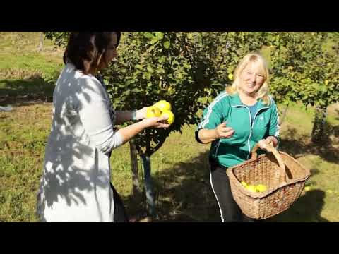 Srpski domaćin ep. 142 27.10.2022. Nebojša Pujkić, berba dunja, pčelarstvo, Krivi vir, Paraćin