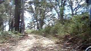 preview picture of video 'Old Coach Rd, Harrietville'