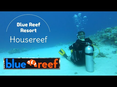 Blue Reef Resort - Housereef 2024