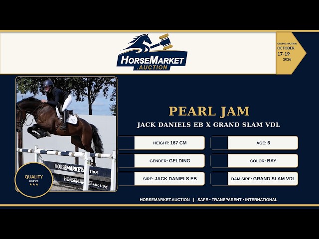 Pearl Jam indoor show