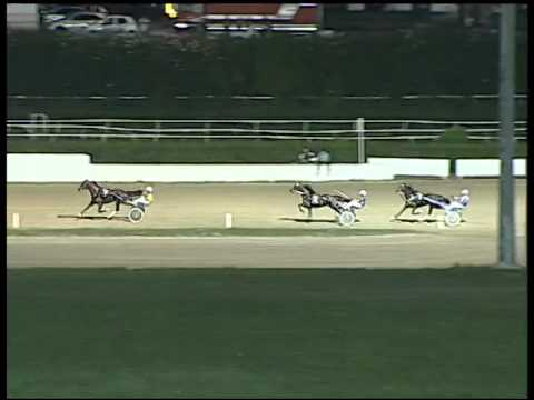 Trotto 18/09/2014 - 2° prova di riqualifica