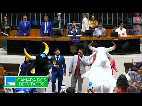 Homenagem aos Bois do Festival Folclórico de Parintins (Amazonas) - Solene - 12/05/2026