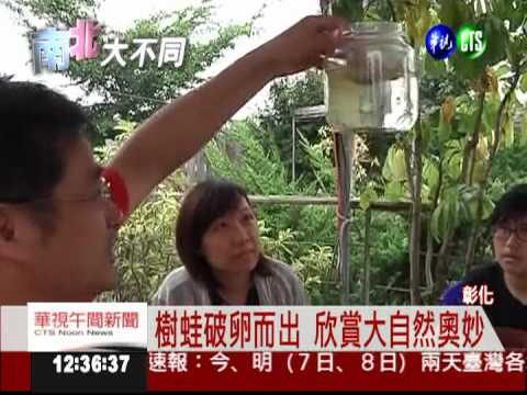 賞花.摘葡萄.賞夕陽 彰化純樸體驗