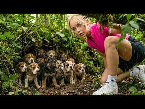 I Found 13 Abandoned Puppies... Then Took Them Home