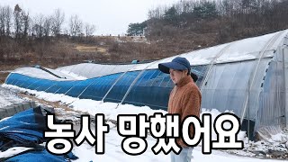 농사가 코앞인데 하우스가 무너졌습니다.