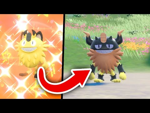 So bekommt ihr Shiny Mauzinger in Pokémon Karmesin & Purpur!