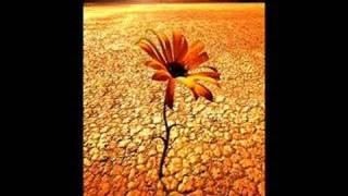 Susie Suh_give me heart