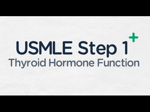 USMLE Step 1: Thyroid Hormone Function