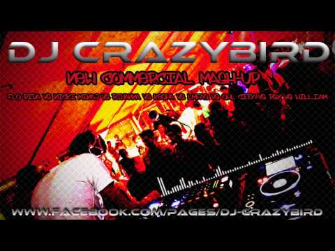 Flo rida vs Nicki minaj vs Rihanna vs Kesha vs LMAFO vs Owl city vs PSY - MASHUP 2013 [DJ CRAZYBIRD]