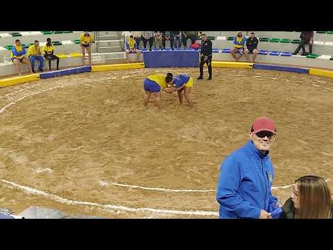 CANARIAN WRESTLING THIRD CATEGORY: MANINIDRA-ROQUENUBLO.