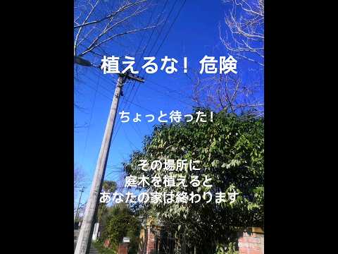 家の近くに植えてはいけない木は何ですか、なぜオークを避けるのですか
