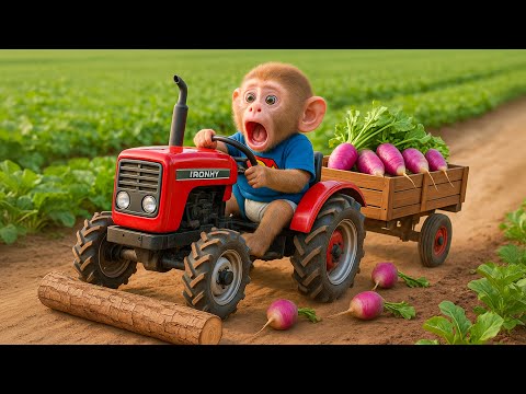 🚜😱🐒💜 KiKi Monkey’s Magical Radish Delivery Gone Wrong! 🥕😱 A Crazy Farm Adventure! 🚜🥕