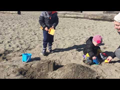Beach day English bay