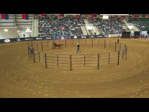 Clinton Anderson: Williamston, NC Walkabout Tour - Downunder Horsemanship