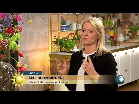 Hon är bäst i Sverige på blombinderi - Nyhetsmorgon (TV4)