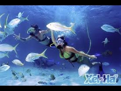 Xel Ha snorkeling park in Cancun Mexico.