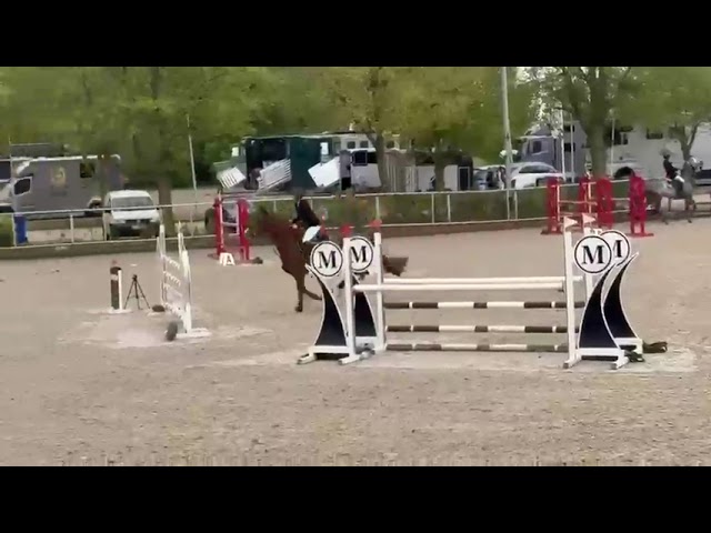 Nice jumping class Movie Pegaas (Ukato x Carambole).