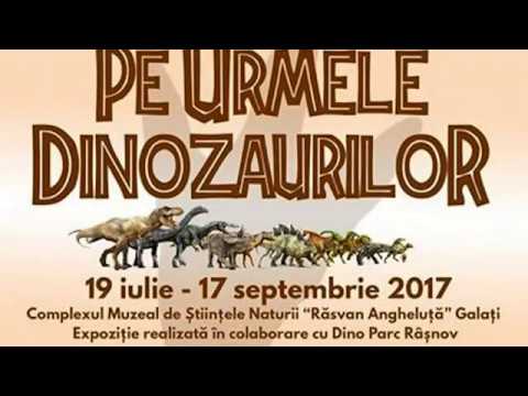 Știre Etv/ 19.07.2017 – PE URMELE DINOZAURILOR