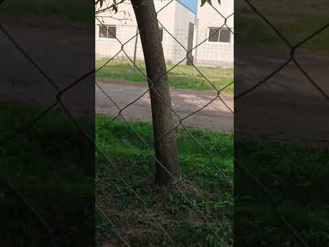 hermoso dia ROMANG santa fe Argentina 😍