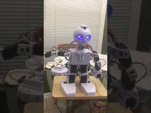 Ezang's Robot With Audio Voice Command And Audio Response