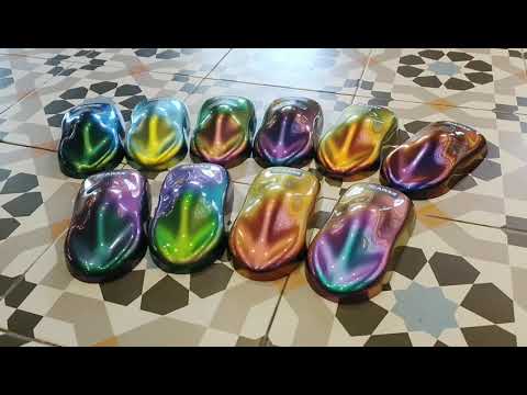 Aikka Chameleon King Colour Family