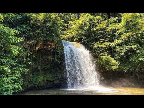 Águas da Prata Waterfalls | Brazil