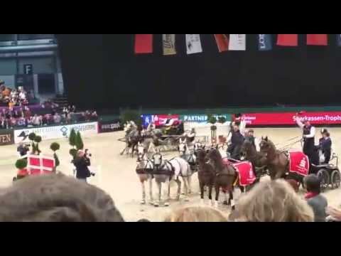 Partner pferd 2015 Vierspänner :)