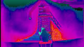 This Year’s Girl #2 | Pizzicato Five