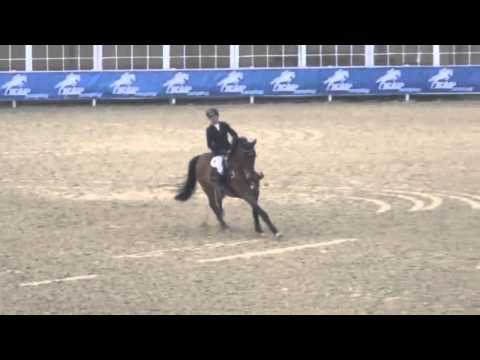 Stall Stecher FÜRST REINER I - Linz/A 04/2016 1,40 Stechen