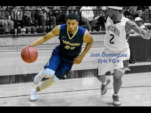 #20 Josh Dominguez Scout Reel 2016-17